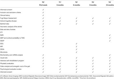 Rehabilitation and Biomarkers of Stroke Recovery: Study Protocol for a Randomized Controlled Trial